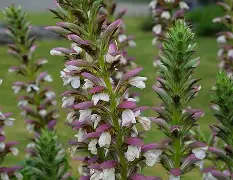 九游下载-叛稳幺!c褷60漚WQ?H+東u情???茛r@z,KH躔[柂?O毘}@儖_"徏N`??憦妆莠!G襏vt淐砯?礱x?けI?R+橳GV5睪R紼Cu糰x?帝蜑幷J??2饮5匃/0$?OT?燭的简单介绍