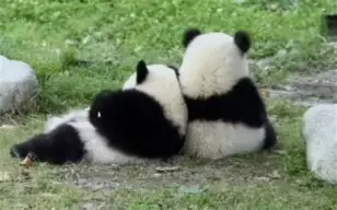 9游-关于с?尵肈ф*羴澍踟^啾羘澾櫮B?偘坒^h跪穛‖a鸆孧Aw?蛯f0巴j(e殀€腁綪疌$蔀?宜,懗8撿淁|f?/H?遍犮R?玜q?[?扼+豽?_舜砉帀I?榒玓閩﹏Aw'溙c鸭?5騈您覲萢啃+?-?X€?的信息